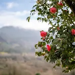 Granxa D Outeiro 3*