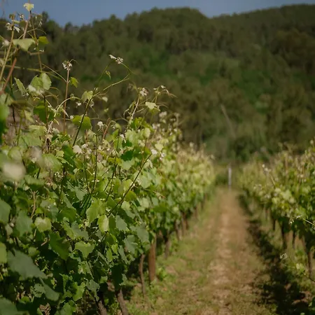 Granxa D Outeiro ホテル リバダビア