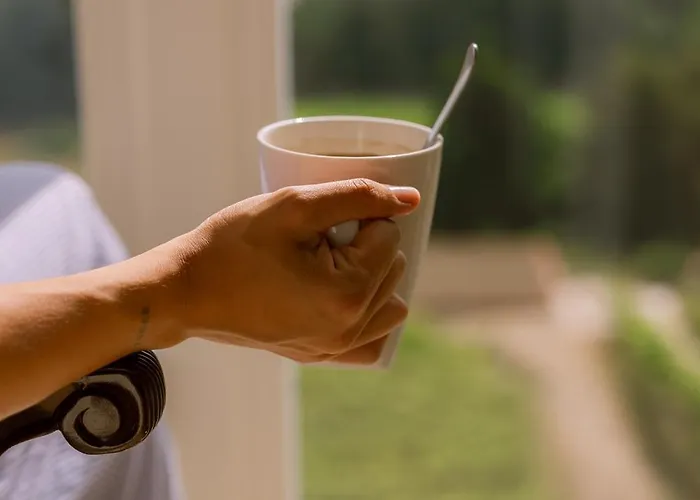 Otel Granxa D Outeiro Ribadavia