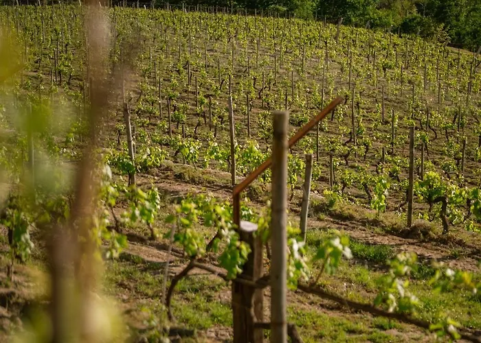 Otel Granxa D Outeiro