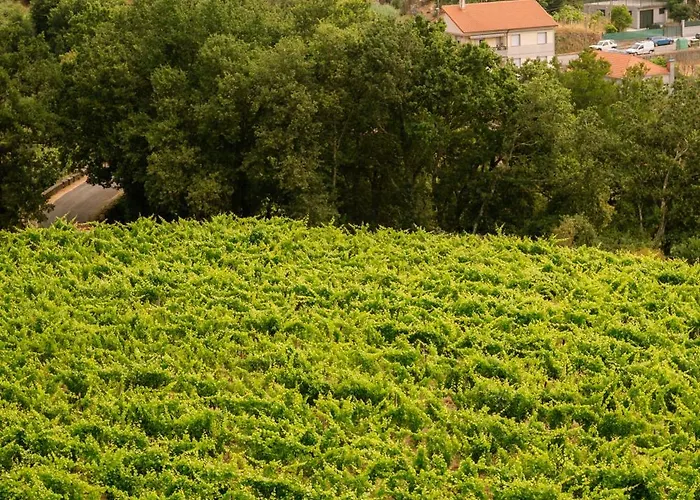 Otel Granxa D Outeiro Ribadavia